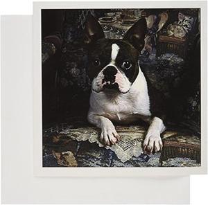 Boston Terrier Philippe - Greeting Card, 6 X 6 Inches, Single (Gc_3112_5)