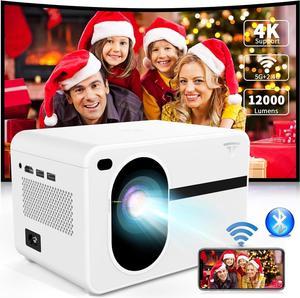 Projector with WiFi and Bluetooth Wielio Native 1080P 12000L Outdoor Portable Mini Video Movie Projector Proyector Compatible with iOSAndroidTV StickHDMIUSBAV for Home Theater