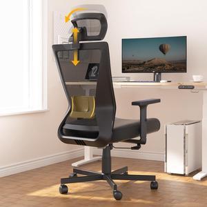Ergonomic Office Chair, High Back Desk Chair, Computer Mesh Chair with Lumbar Support, Adjustable Headrest & 2D Armrest, 90°-135°Tilt Function, 360° Swivel Home Office Task Chair, Black