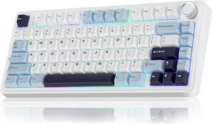 F75 75% Wireless Mechanical Keyboard,Gasket Hot Swappable Custom Keyboard,Pre-lubed Reaper Switches RGB Backlit Gaming Keyboard,2.4GHz/Type-C/Bluetooth Mechanical Keyboard (White & Blue)