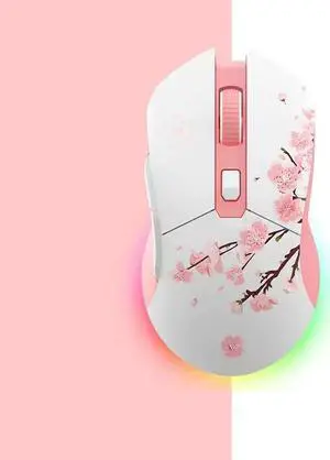 DAREU Wrangler EM901 Dual mode Bluetooth wireless mouse RGB gaming computer laptop mouse rechargeable