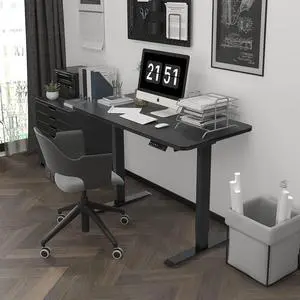 Walsport Electric Height Adjustable Gaming Desk Dual Motor 48x24 Inches Home Office Standing Computer Table Workstation
