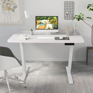 Walsport Electric Height Adjustable Gaming Desk Dual Motor 46 x 24 Inches Home Office Standing Computer Table Workstation