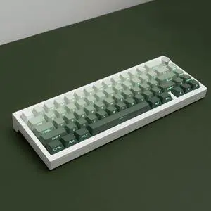 mintcaps PBT Doubleshot Keycaps 134 Keys Gradient Green Backlit OEM Profile Keycaps Side Print Shine Through Custom Keycaps Set for 60% 65% 75% 100% Cherry Gateron MX Switches Mechanical Keyboard