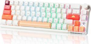 SUEHIODHY A68 Hot Swappable Mechanical Keyboard 68 Keys Backlit RGB Gaming Keyboard with Multimedia Volume Knob Custom Keyboard for Win/Mac(Dustproof Tea Switch