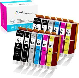 K-Ink Compatible Ink Cartridge Replacement for Canon PGI-250 CLI-251 PGI 250 CLI 251 XL (12 Pack - 2 Large Black, 2 Small Black, 2 Cyan, 2 Yellow, 2 Magenta, 2 Gray)