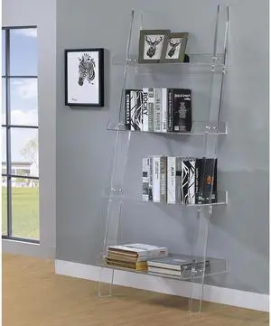 Clear Acrylic Ladder Bookcase