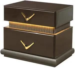 Modern Style 2-Drawer Night stand Made with Wood in Brown
