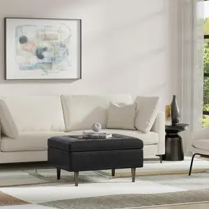 Shay Mid Century Small Coffee Table Storage Ottoman