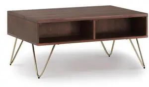 Hunter - Small Lift Top Coffee Table - Umber Brown / Gold