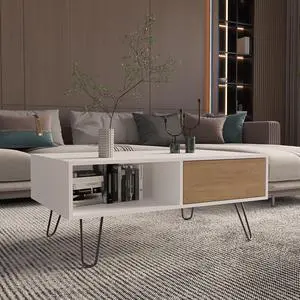 Coffee Table, 1 Drawer, 1 Shelf, White / Natural Oak