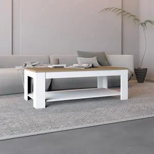 Cecil Coffee Table with Open Storage Shelf for Decor, Modern Design for Living Room or Lounge Area