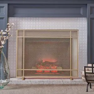 FIRE SCREEN