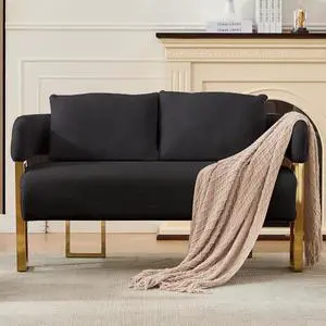 TS Modern decorative chair, living room side chair with gold metal legs, no wheels, suitable for dressing area, reception room, office,Teddy fleece upholstered metal foot sofas Black