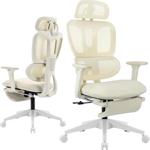 Ergonomic Office Chair with Footrest, High-back Computer Chair with Dynamic Lumbar Support, 2D Headrest & 4D Armrests, Sponge Cushion & Mesh Back, Home Office Chair for Adults, Cream.