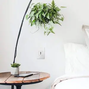 adorne Full-Size, 6A, A/A USB Outlet, White, ARUSB2AA6W4...