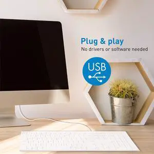 Macally Ultra Slim Wired USB Computer Keyboard and a Web Cam, Never Deal with Low-Definition Laptop Camera Again