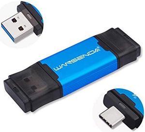 WANSENDA Type C USB C Flash Drive OTG USB 3.1 Thumb Drive (256GB, Blue)