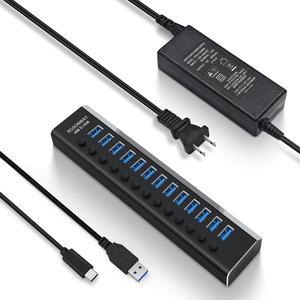 Powered USB Hub Rosonway Aluminum 13 Port USB 3.1 Hub up to 10Gbps with 72W (12V/6A) Power Adapter and Individual Switches, Type A and Type C Cables, USB C Hub Expander for PC and Laptop (RSH-A13)
