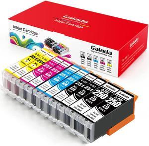 GALADA Compatible Ink Cartridges Replacement  PGI-250XL CLI-251XL 250 251 XL for Pixma MX920 MX922 MX722 IP7220 IP8720 IX6820 MG5420 MG5422 MG5520 MG5522 MG5620 MG6320 Printer 10 Pack