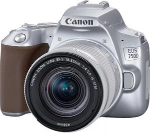 Canon EOS 250D Kit (EF-S 18-55mm STM) (Silver)