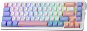 Redragon K709 PRO 65% Wireless Gasket RGB Gaming Keyboard, 68 Keys Hot-Swap Compact Mechanical Keyboard w/Free-Mod Socket, 5-Layer Noise Dampening & Round PBT Keycaps, Quiet Custom Linear Switch