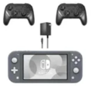 Nintendo Switch Lite Handheld Gaming Console, Gray, with 2 RetroFam Wireless Pro Controllers and Charger Bundle Nintendo Switch Lite Handheld Gaming Console, Gray, with 2 RetroFam Wireless Pro Controllers and Charger Bundle