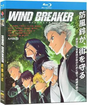 international version Blu-ray film WIND BREAKER (2024) BD English subtitles Japanese Anime Japanese Pronunciation