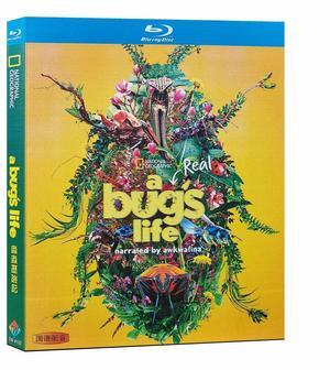 International version Blu-ray A Real Bug's Life Season 1(2024) English subtitles