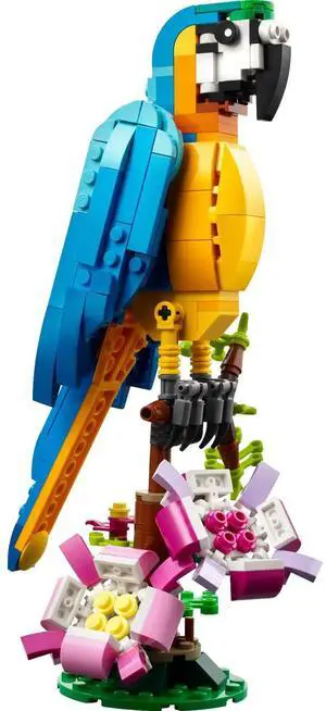 international version Creator Series 31136 Exotic Parrot Number of parts 253 Suitable for age 7+ toy building blocks