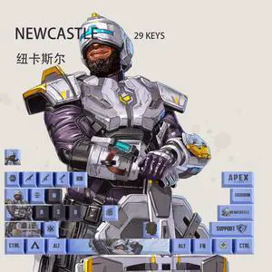 APEX keycap NEWCASTLE PBT heat-sublimation keycaps 29key OEM Height