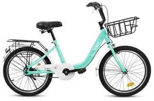 taoruifang 20 Inch Kids Bike for Boys & Girls, Children's Bicycle with Coaster Brake & V-Brake, 1-Speed, Chain Guard & Rear Rack, Lightweight Steel Frame