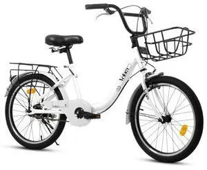 taoruifang 20 Inch Kids Bike for Boys & Girls, Children's Bicycle with Coaster Brake & V-Brake, 1-Speed, Chain Guard & Rear Rack, Lightweight Steel Frame white