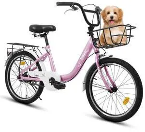 taoruifang 20 Inch Kids Bike for Boys & Girls, Children's Bicycle with Coaster Brake & V-Brake, 1-Speed, Chain Guard & Rear Rack, Lightweight Steel Frame pink