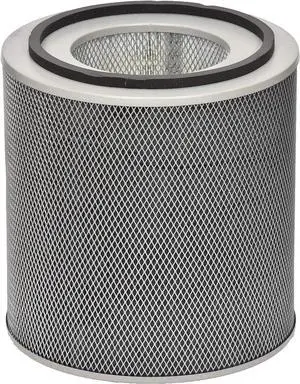 Austin Air FR450B Healthmate Plus Standard Replacement Filter, White