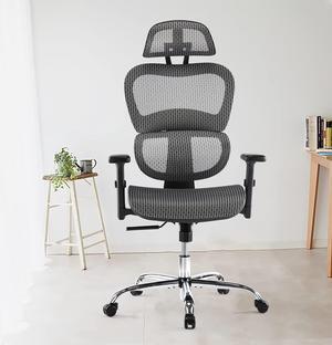 Ergonomic Chair, High Back Executive Style, Modern Office Chair with Lumbar Support, Breathable Mesh Covering, Fully Adjustable Armrests, Height and Headrest, Grey
