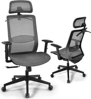 GOFLAME Ergonomic Mesh Office Chair, Swivel Executive Chair with Reclining High Backrest, Rotatable Headrest, Clothes Hanger and Lumbar Support, Height Adjustable Computer Desk Chair (Gray)