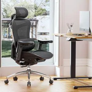 Doro C300 Ergonomic Office Chair with Ultra Soft 3D Armrests, Dynamic Lumbar Support for Home Office Chair, Adjustable Backrest Desk Chair, Swivel Big and Tall Computer Chair Black