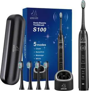 Lovely Land Sonic Electric Toothbrush for Adults, 5 Modes Power Rechargeable Toothbrush with 4 Replacement Brush Heads and Travel Toothbrush Case, Smart Timer  Whitening Electric