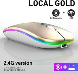 Rechargeable Bluetooth Wireless Mouse with 2.4GHz USB RGB 1600DPI Mouse for Computer Laptop Tablet PC Macbook Gaming Mouse Gamer(Dual Mode Wireless)