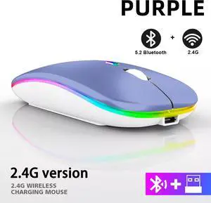 Rechargeable Bluetooth Wireless Mouse with 2.4GHz USB RGB 1600DPI Mouse for Computer Laptop Tablet PC Macbook Gaming Mouse Gamer(Dual Mode Wireless)