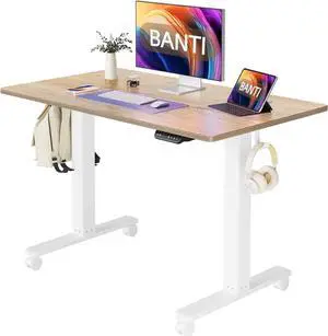 40''x24''Height Adjustable Electric Standing Desk, Stand up Table, Sit Stand Home Office Desk with Splice Board, Maple Top