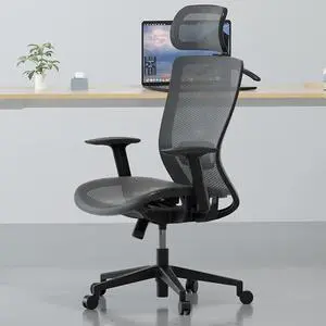 Ergonomic Office Chair, High Back Mesh Computer Chair, Comfy Home Office Desk Chairs with Lumbar Support Tilt Function 3D Headrest 2D Armrest, Heavy Duty Executive Office Chair OC3 Mesh Gray