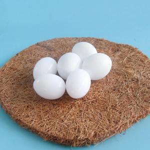 Acaigel 6pcs White Solid Plastic Pigeon Dove Eggs Dummy Eggs