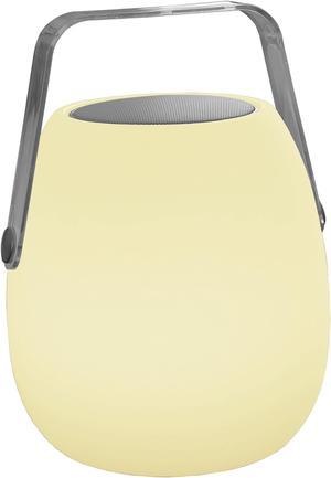 Ava LED Speaker Lantern