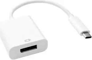 USB 3.1 Type-C to Display Port Adapter