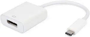 USB- C to Display Port Adapter - 4K