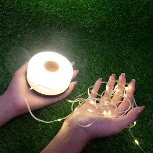 HYUGA Camping Lights String, Outdoor Rechargeable Lights with 5 Lighting Modes, Type-C Charging, 20s Roll Up- Portable LED Camping String Lights for Camping, Hiking, House Decorate (26.24ft)