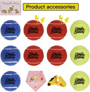Rainbow Tennis Balls for Dogs 10 Pack Bright Colours Interactive Dog Toys Dog Gift for Large Dogs and Medium Small Dogs