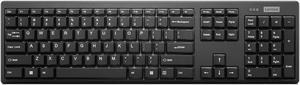 Lenovo 100 USB-A Wireless Keyboard - US English